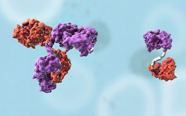 氨基酸、肽和蛋白质标准品